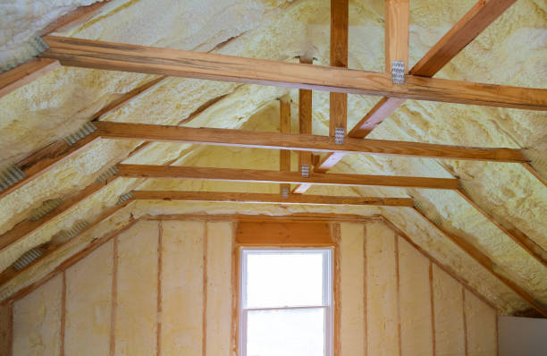 Best Residential Insulation in Clever, MO