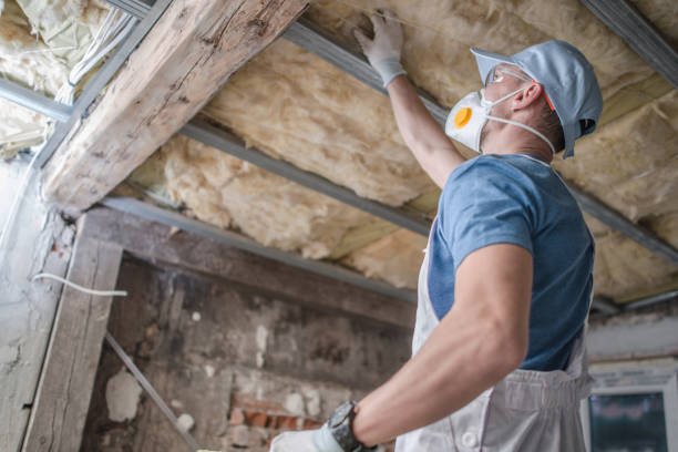Best Specialty Insulation in Clever, MO